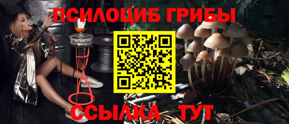 Галлюциногенные грибы GOLDEN TEACHER  Вход с VPN  Якутск 